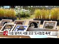 다음 달까지 서울 곳곳 도시농업 축제 ytn