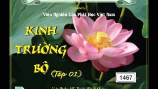 Kinh Trường Bộ tập 1 (3/3)