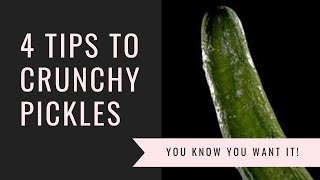 How to make pickles crunchy!!