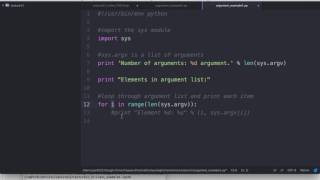 How to use arguments in Python