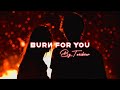 Taesbear Official- Burn For You (Official Lyric video)