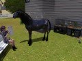 The Sims 3 Pets Gameplay - Horse Giving Birth to Unicorn Foal