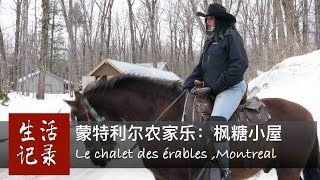 【魁北克必游之地枫糖小屋】加拿大蒙特利尔农家乐Le chalet des érables-4K