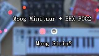 Moog Minitaur + EHX POG2 = Moog Sirin?