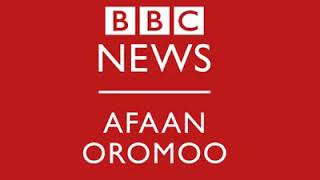 Babaaroo Sagantaan BBC Afaan Oromoo kan Wiixata galgalaa kunooti!!! Itti dhiyaadhaa!!!