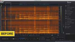 Auto-separate Noise from Tonal Audio with iZotope RX® 3