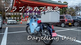 スーパーカブC125 ｜高幡不動尊で交通安全祈願、猫目堂茶店　【モトブログ#10】