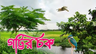 গ্রামের দৃশ্য || গট্টির চক.. গ্রাম বাংলার নয়নাভিরাম সৌন্দর্য