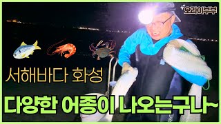 서해바다 화성 다양한 어종이 나오는구나~ #투망 #서해투망 #고온항 #바다투망 #fishing #서해짬투망