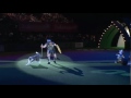 heelwork to music freestyle international 1st place crufts 2012