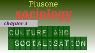 PLUSONE||SOCIOLOGY||Chapter4.1