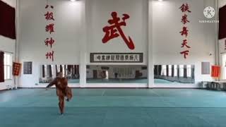 Liu Lianjun performs taolu with a long pole.