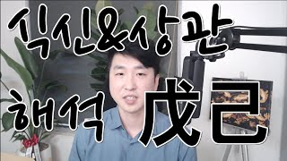 土(토)일간의 식신&상관 해석