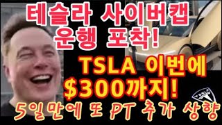 테슬라 사이버캡 운행 포착!! 시선 집중 / $TSLA 5일 만에 목표가 또 추가 상향! 이번에 $300까지 / 많은 기관들 Tesla 주시  / 테슬라 투자 / Tesla 주가