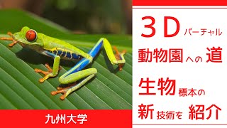 3Dバーチャル動物園への道【九州大学 バイオフォトグラメトリ】