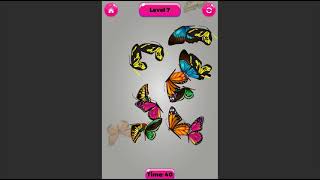 Butterfly Matching - Cross Platform Java Game Project Source Code