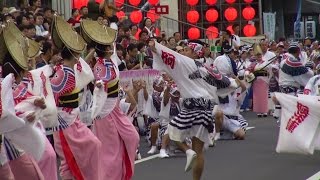 「阿呆連」市役所前演舞場 8月15日1部 徳島阿波おどり2014