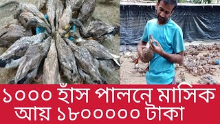 ১০০০ হাঁস পালনে লাভ লস। ১০০০ হাঁস পালন করতে কত টাকা খরচ হয়। duck farming