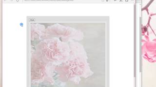 07 Jquery FadeToggle Function