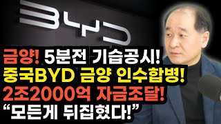 🔵[금양] 긴급! 중국BYD 금양 인수합병! 2조2000억 자금조달 확정! 금감원 조사 완전 뒤집혔다! 조사 5분만에 종료! 무조건 '이 가격' 찍을 수 밖에 없습니다 #금양목표가