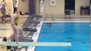 Sydney Mankato dive meet 302C