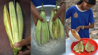 Crispy Fried Eggplant Recipe | Crunchy Eggplants Cooking in Village