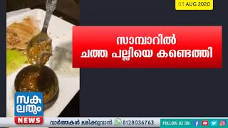 സാമ്പാറിൽ ചത്ത പല്ലിയെ കണ്ടെത്തി | Hotel Saravana Bhavan