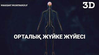 МИ | ЖҰЛЫН | ҚЫЗМЕТІ