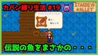 【Stardew Valley】カバン縛り生活 #19 夏の伝説魚でまさかの・・・【1年目夏7～8日目】