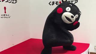 くまモン　ふれあいタイム終了後　もう１回踊るモン　しかしハプニングが・・・　　２０１８．０６．０１