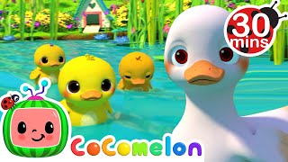 Five Little Duckies 30 MIN LOOP |  Animal Songs For Kids
