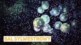 Bal Sylwestrowy 2022/2023 - oferty