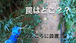 猟期40頭目！使いやすさNo.1くくり罠はこんな場所にも設置できます！