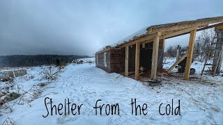 I'm Building a Hut For SURVIVAL this Winter. I Want to make it before the SEVERE FROSTS