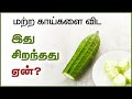 Ridge Gourd Benefits in Tamil - Peerkangai | 24 Tamil Health