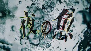 夜の魚　オリジナルMV