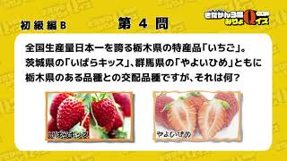 【群馬・栃木・茨城　きたかん３県みりょＱイズ】初級編＜Ｂ＞第４問