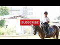 เรียนขี่ม้า สอนขี่ม้า วันที่19 ตอน2 อาชาบำบัดที่ horse master thailand vlog ep207 เต๋อพาเที่ยว