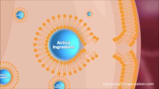 Liposomal Encapsulation Technology