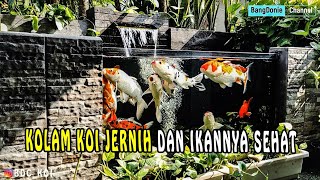 PERAWATAN KOLAM KOI AGAR TETAP JERNIH DAN IKANNYA SEHAT SEHAT