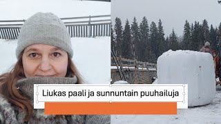 Liukas paali ja sunnuntain puuhailuja