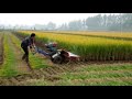 anon 120 diesel cutting engine paddy rice reaper machine