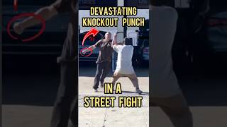 Devastating Knockout Punch in a Street Fight. #mma #kravmaga #martialarts #fighter #fighting #fyp