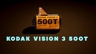 Kodak Vision 3 500T | In Bruges