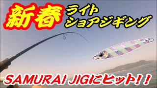 【新春ライトショアジギング】新年早々サゴシ仕様のジグに予想外の魚がヒット！！【ダイワ】【サムライジグ】【サゴシチューン】