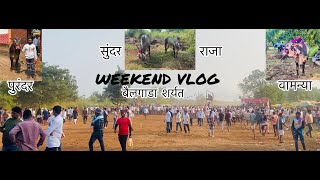 बैलगाडा शर्यत II नाद एकच बैलगाडा शर्यत II Weekend Vlog With Vloggor Omya #bailgadasharyat  #youtube