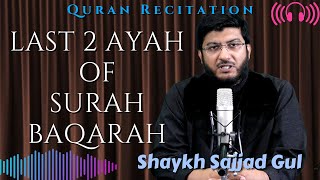 Last Two Ayah of Surah Baqarah | Quran Recitation | Shaykh Sajjad Gul