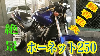 【HONDA HORNET250 MC31】線香花火【ツーリング】絶景