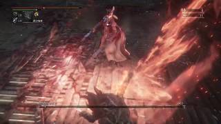 Bloodborne寄生虫を握りしめてカンストマリア様を殴る