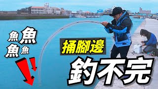 竿子凹到手把！澎湖的港口不失望 腳邊就有釣不完的魚【外島修練 吉貝#2】#釣魚​ #澎湖​ #前打